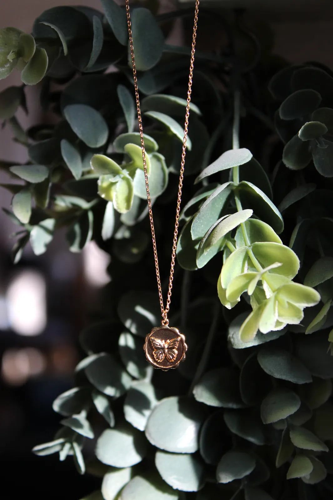 Butterfly Coin Necklace