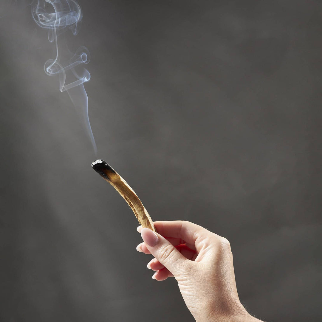 Palo Santo Wood Boxed Bundle